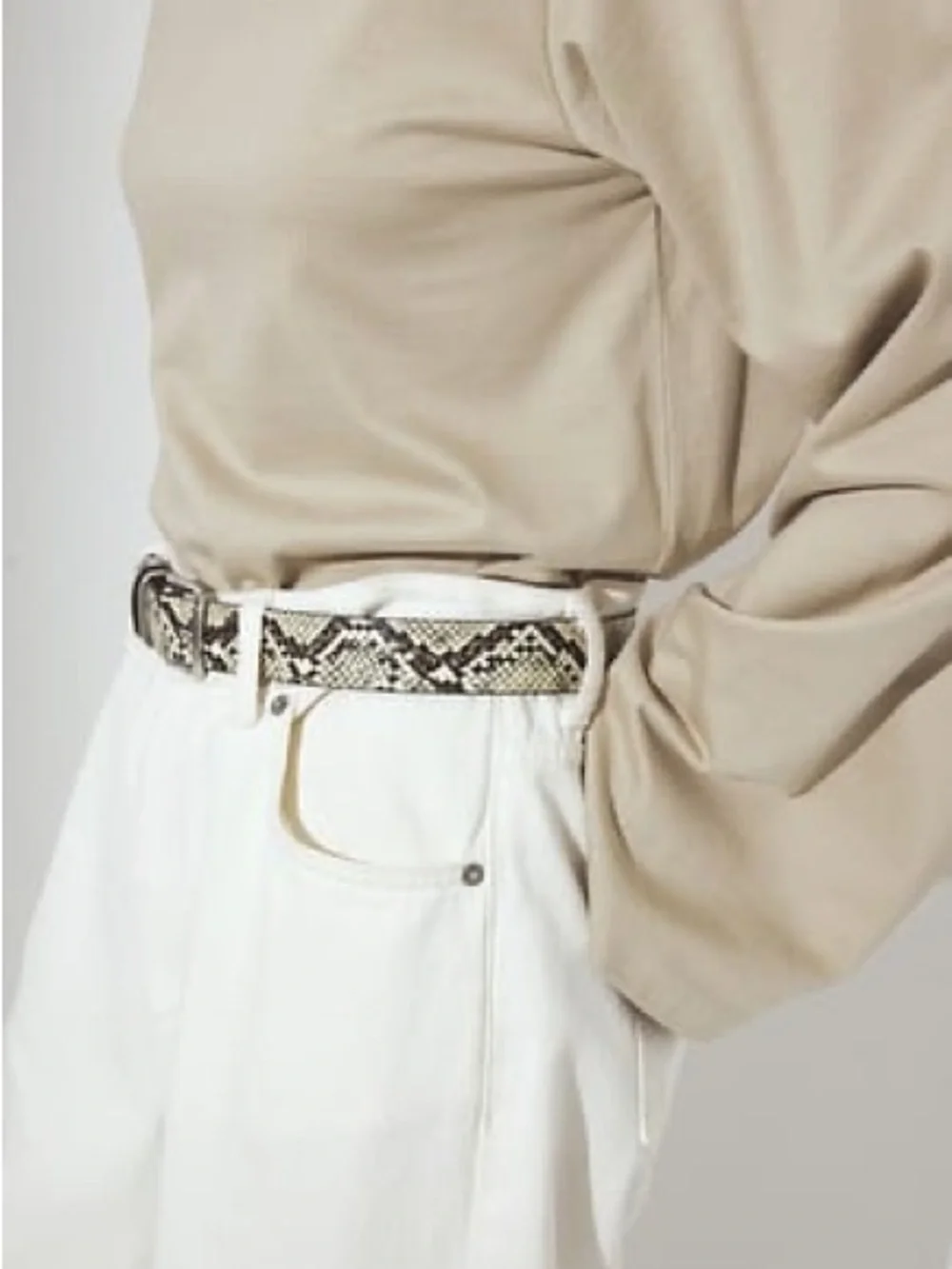 Banana Republic Snake Print Belt with Gold Buckle Size Small